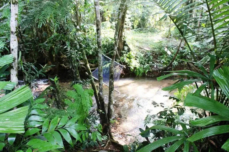 Sixth view of Homely house listing, Lot 324 1547R Cape Trib Road COW BAY, Daintree QLD 4873