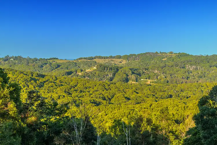 Seventh view of Homely rural property listing, 828 Federal Drive, Federal NSW 2480