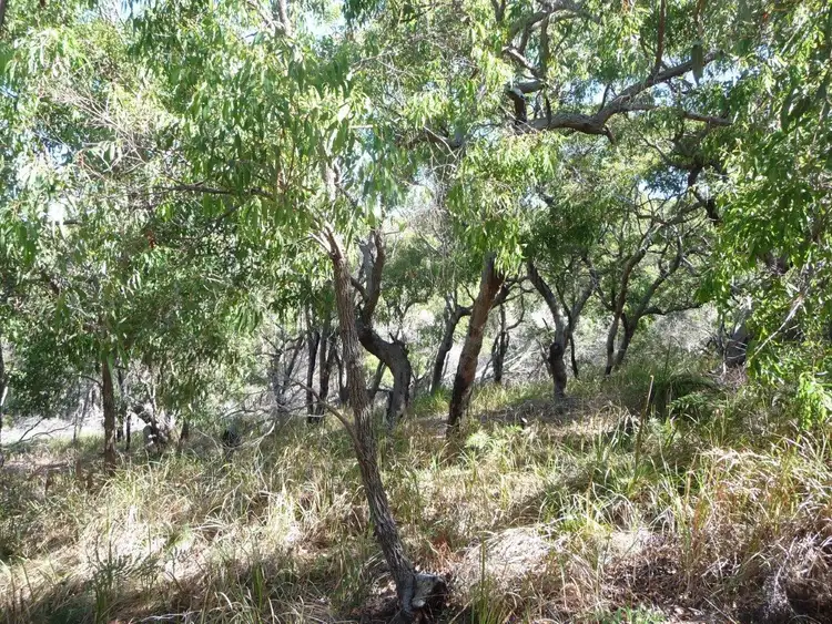 Fifth view of Homely land listing, 66 Grevillia Court - Sunrise, Agnes Water QLD 4677