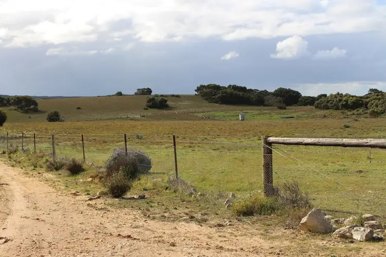 Fifth view of Homely rural property listing, 226 Raphael Road, Keith SA 5267