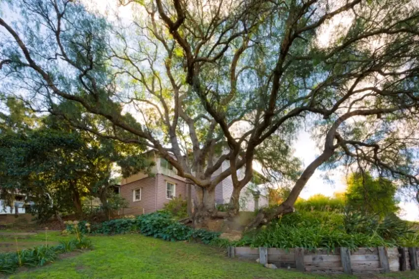 Main view of Homely house listing, 10 Kingstons Lane, Candelo NSW 2550