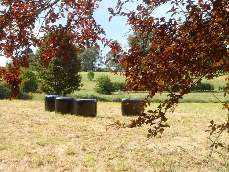 Fourth view of Homely land listing, 45 Wylie Road, Silvan VIC 3795