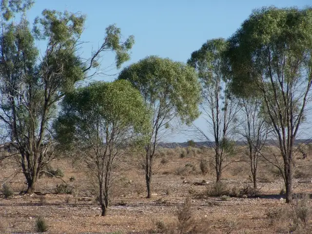 Third view of Homely land listing, Lot 20 Mackay Road, Blanchetown SA 5357