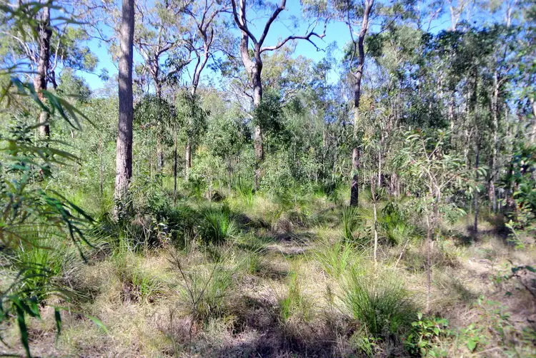 Third view of Homely land listing, Lot 3 Dillon Road, Captain Creek QLD 4677