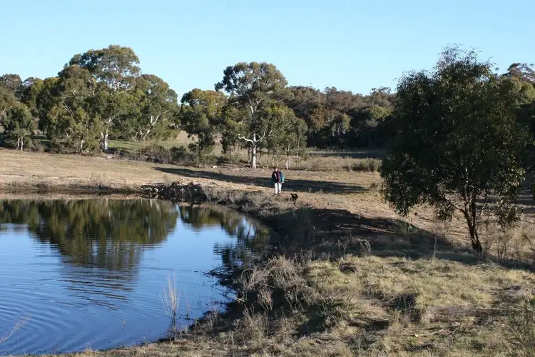 Fifth view of Homely rural property listing, Lot 1, 842 Tiyces Lane, Goulburn NSW 2580