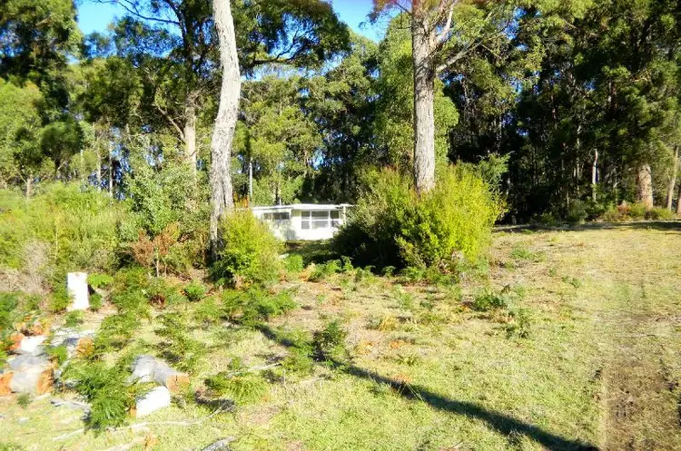 Seventh view of Homely rural property listing, 602 Stormlea Road, Stormlea TAS 7184
