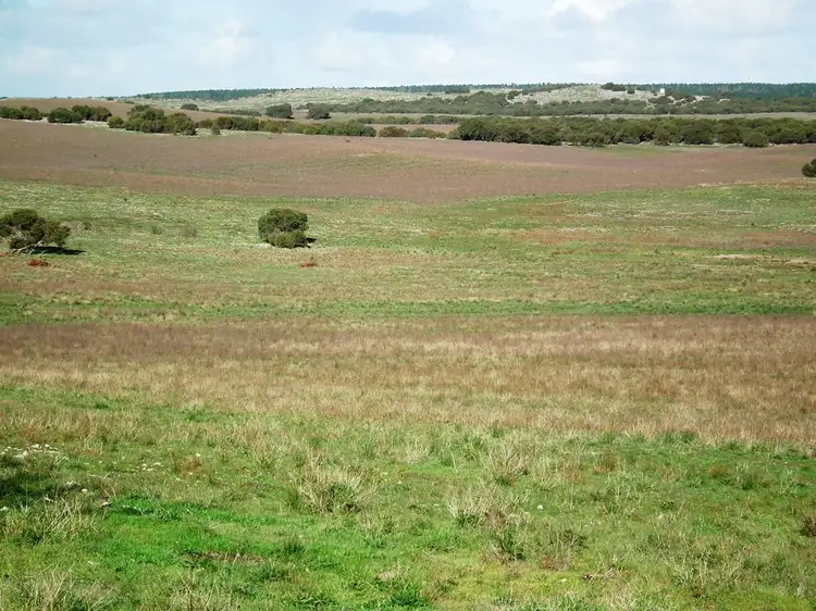 Fourth view of Homely rural property listing, "Cooriboolka" 167 Coffin Bay Road, Coffin Bay SA 5607