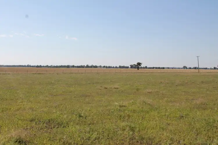 Fourth view of Homely rural property listing, - Wattleflat, Walleroobie NSW 2665