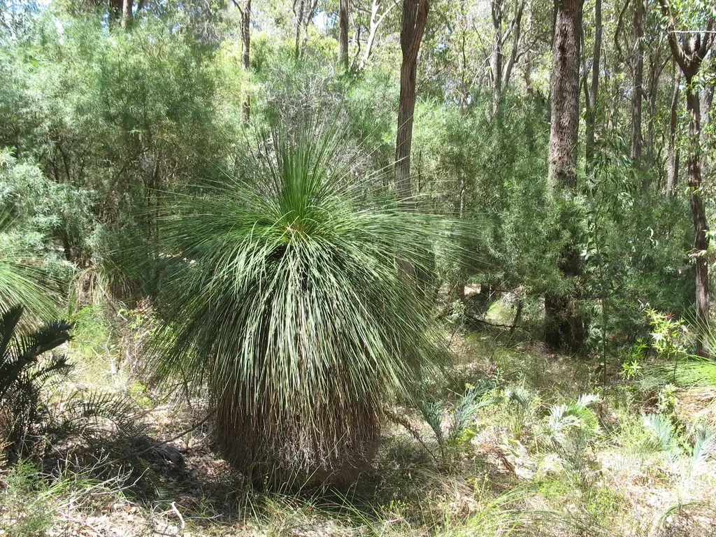 Main view of Homely land listing, Lot 180 Tsavo Street, Mundaring WA 6073