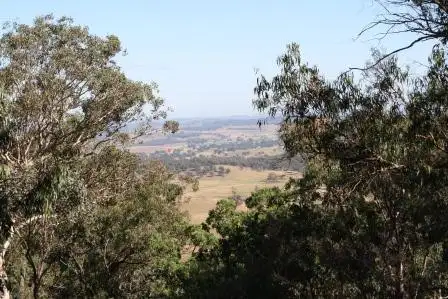 Main view of Homely rural property listing, 355 Gordons Gully Road, Mudgee NSW 2850