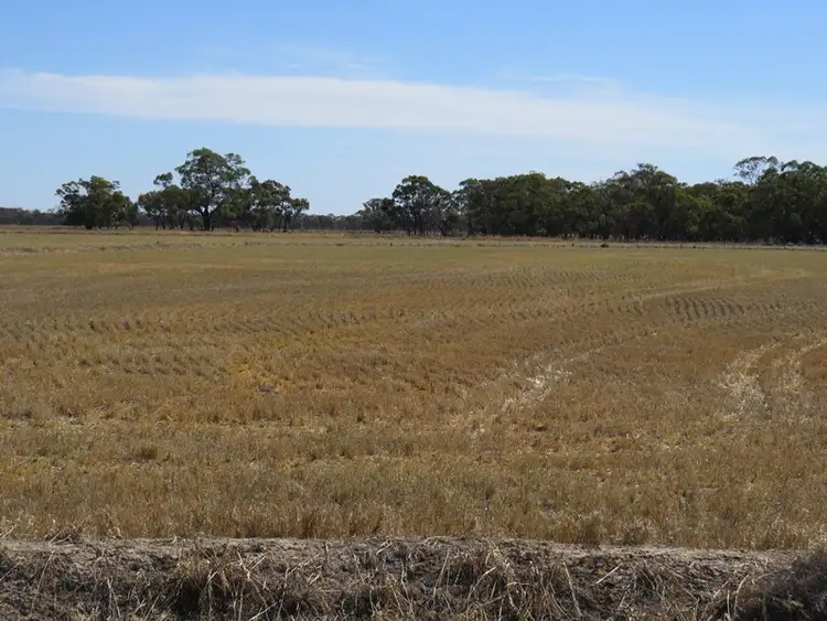 Sixth view of Homely rural property listing, "Corraleigh" Merriginnie Lane, Wakool NSW 2710