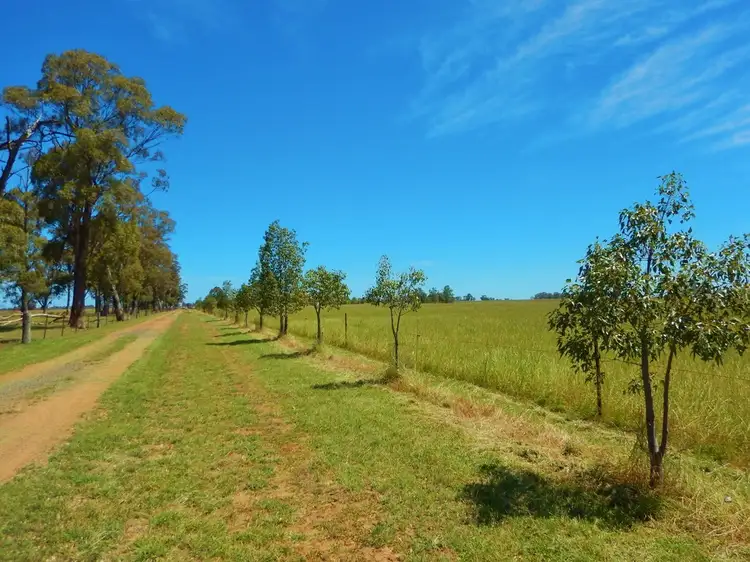 Main view of Homely rural property listing, 64R Bellhaven Road, Eumungerie NSW 2831