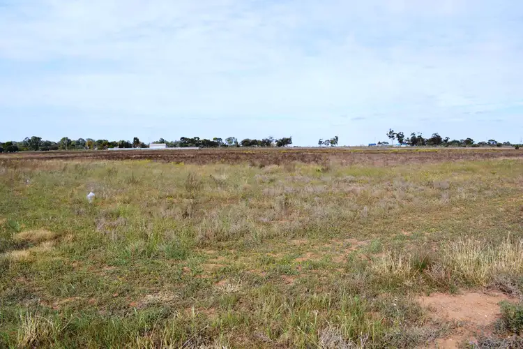 Fifth view of Homely land listing, 22 | Lot 2 Palmer Road, Merbein South VIC 3505