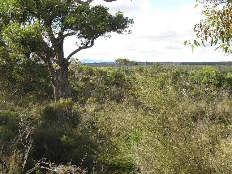Third view of Homely rural property listing, Lot 51 Granite Hill Road, Napier WA 6330