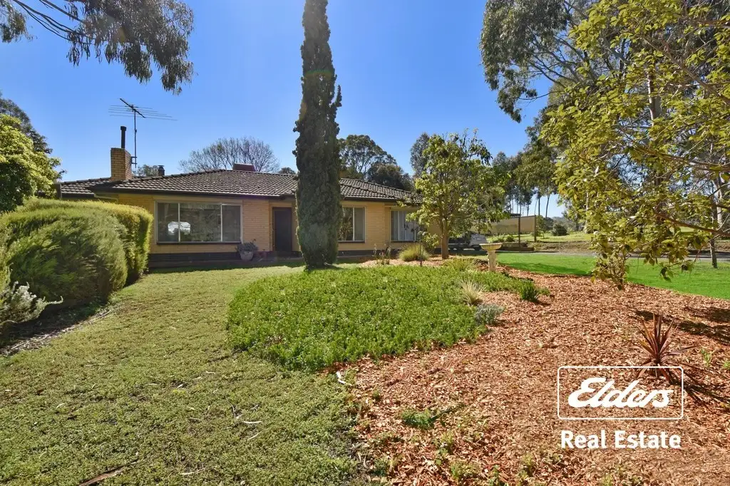 Main view of Homely house listing, 29 South Terrace, Williamstown SA 5351
