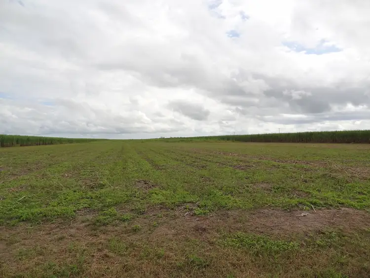 Second view of Homely land listing, 139 Dunnrock Road, Chelona QLD 4740