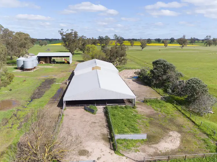 Main view of Homely rural property listing, 161 Badmans Road, Frances SA 5262
