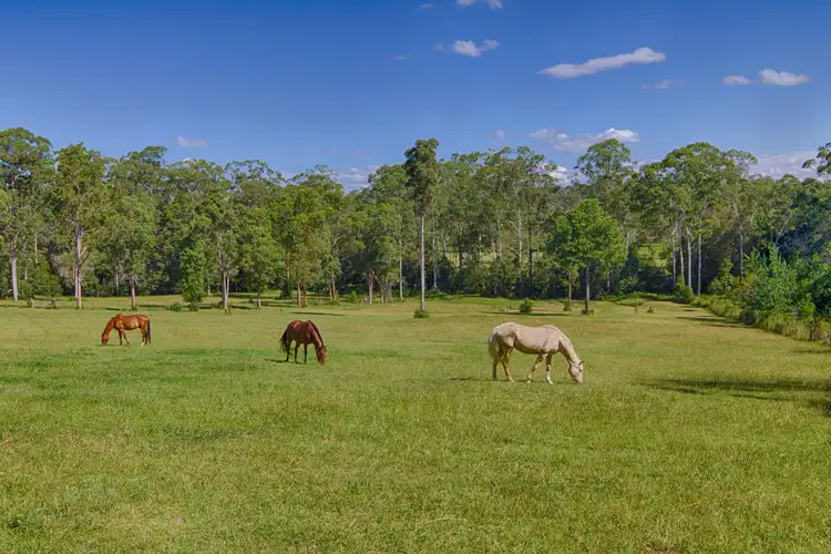 22 Rose Gum Road, Cooroy QLD 4563
