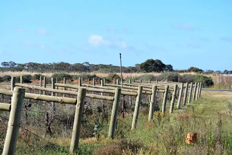 Seventh view of Homely rural property listing, Lot 2 McCarthys Road, Merbein South VIC 3505