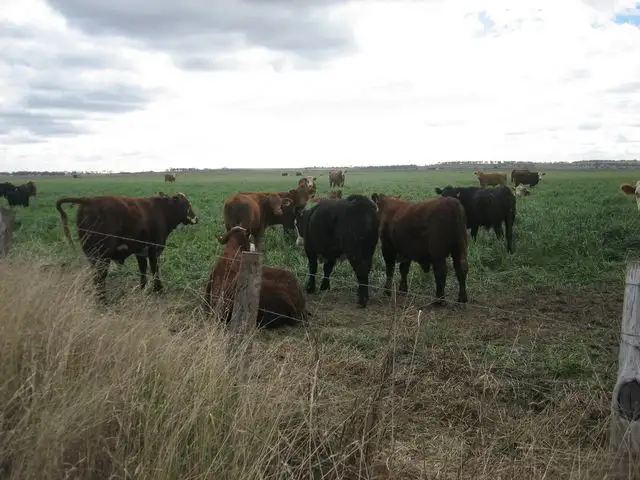 Fifth view of Homely rural property listing, Address available on request