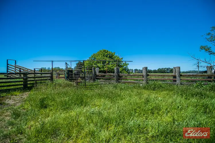 Sixth view of Homely rural property listing, Address available on request