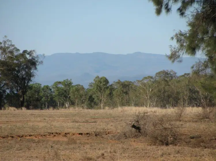 Main view of Homely rural property listing, 81 Yarranabee Rd, Baan Baa NSW 2390