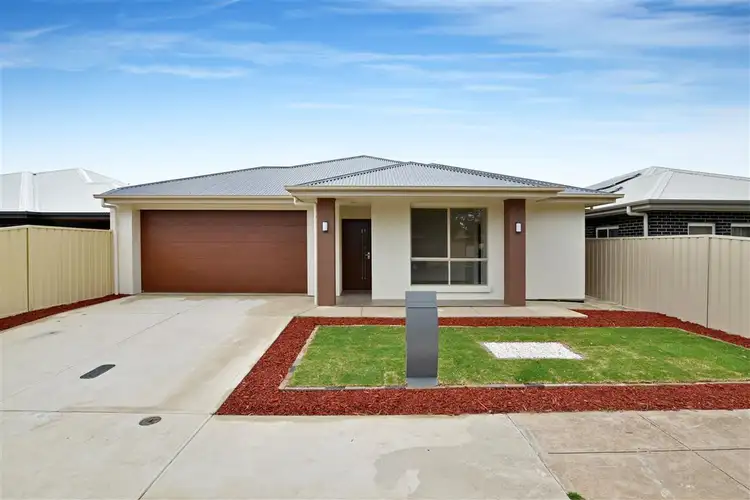37 Clifton Street, Camden Park SA 5038