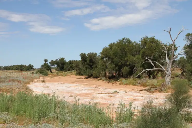 Fourth view of Homely rural property listing, 6365 Carnarvon-Mullewa Road, Mullewa WA 6630