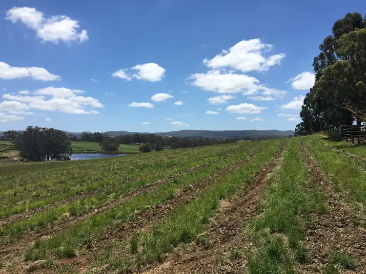 Third view of Homely land listing, Lot 100 Wenzel Road, Oakbank SA 5243