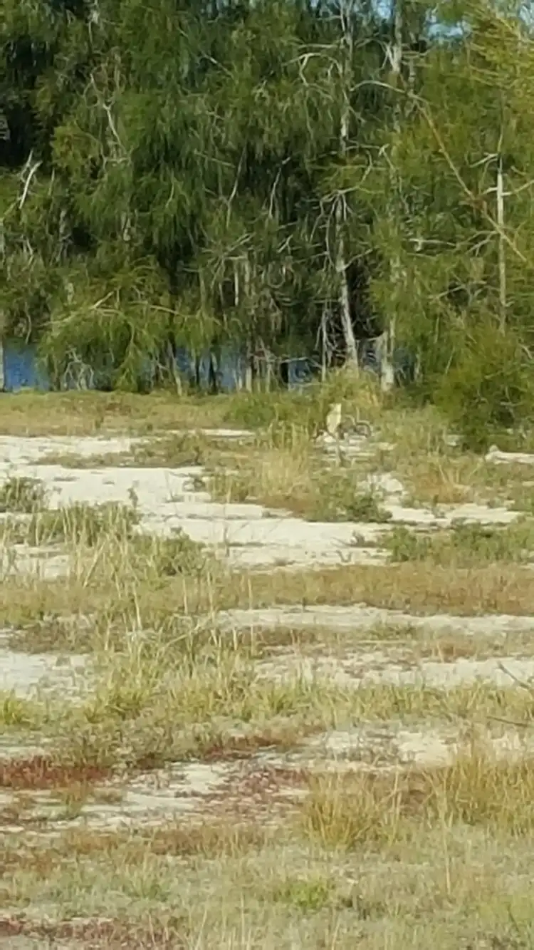 Second view of Homely land listing, 25 Lakes Boulevard, Burrum Heads QLD 4659