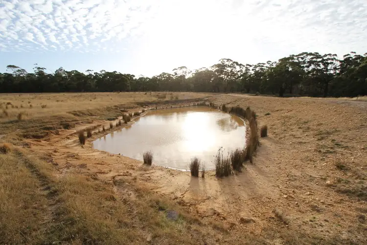 Fifth view of Homely land listing, 297 Browns Road, Dereel VIC 3352
