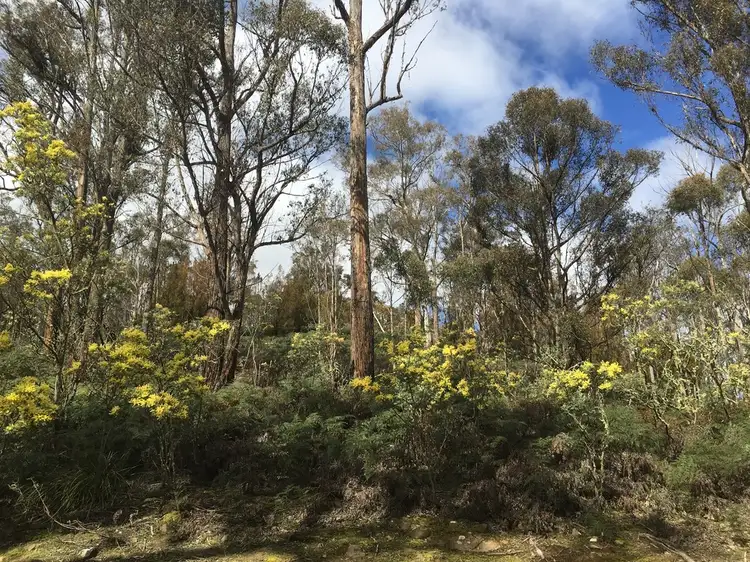 Fourth view of Homely land listing, 970 Marked Tree Road, Gretna TAS 7140