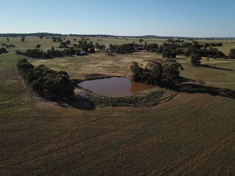 Main view of Homely rural property listing, Wildwood Salters Lane, Ardlethan NSW 2665