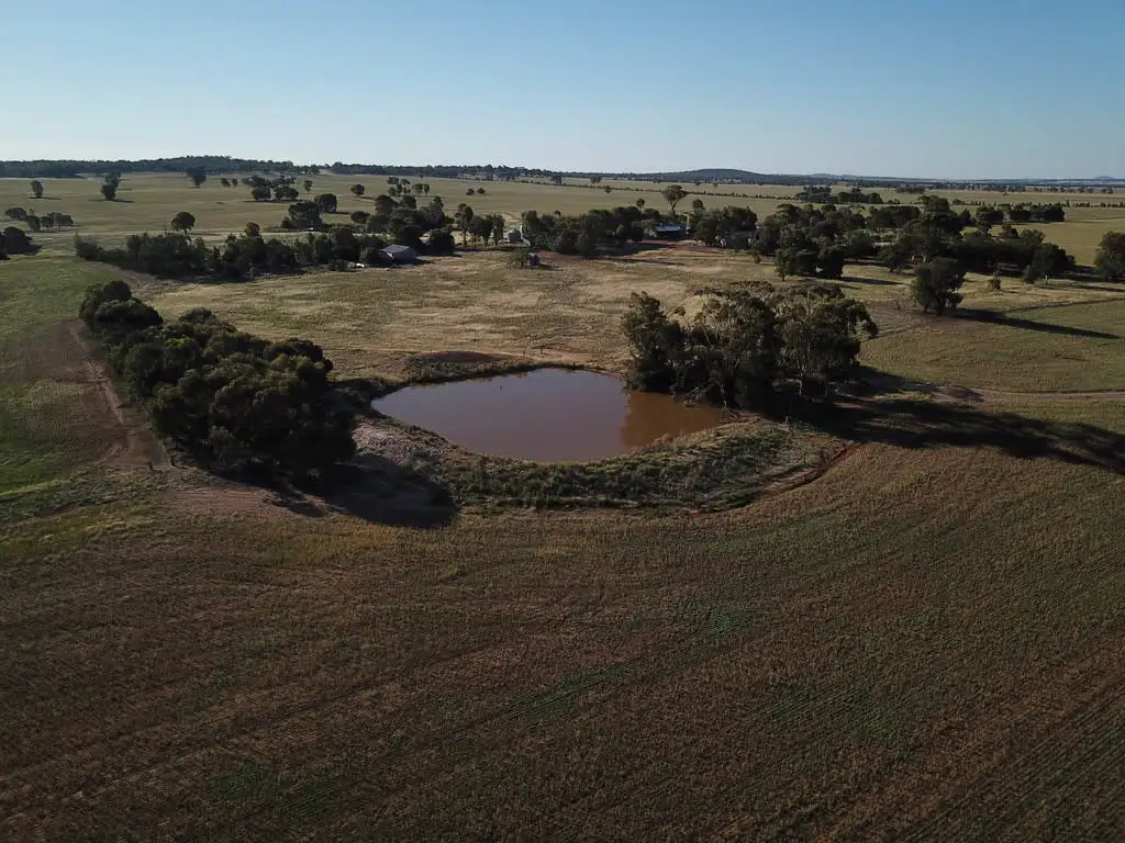 Main view of Homely rural property listing, Wildwood Salters Lane, Ardlethan NSW 2665