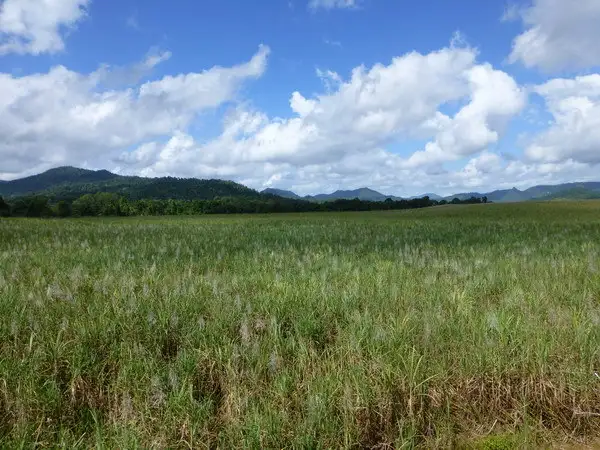 Fourth view of Homely rural property listing, Address available on request