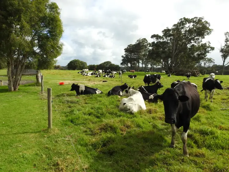 Fourth view of Homely rural property listing, 1201/1245/4116 Warner Glen Road, Warner Glen WA 6288