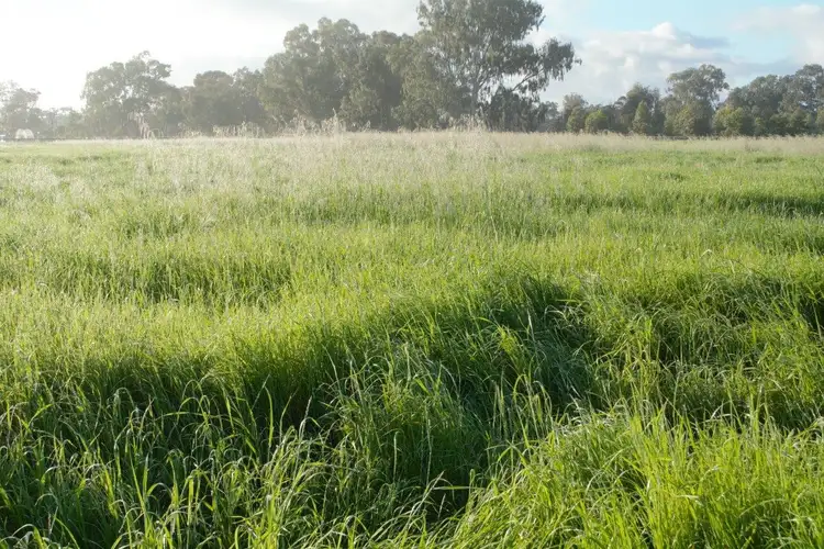 Seventh view of Homely rural property listing, 42 Yamballup Ave, Harvey WA 6220