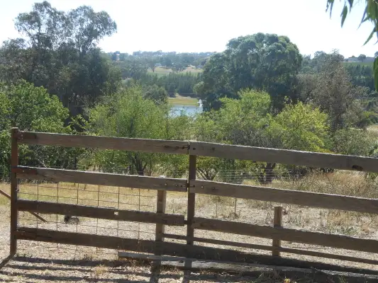 Main view of Homely rural property listing, 81 Tierneys Road, Young NSW 2594