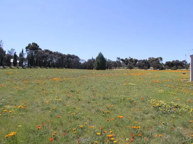 Sixth view of Homely house listing, 81 Tooma Road, Murray Bridge SA 5253