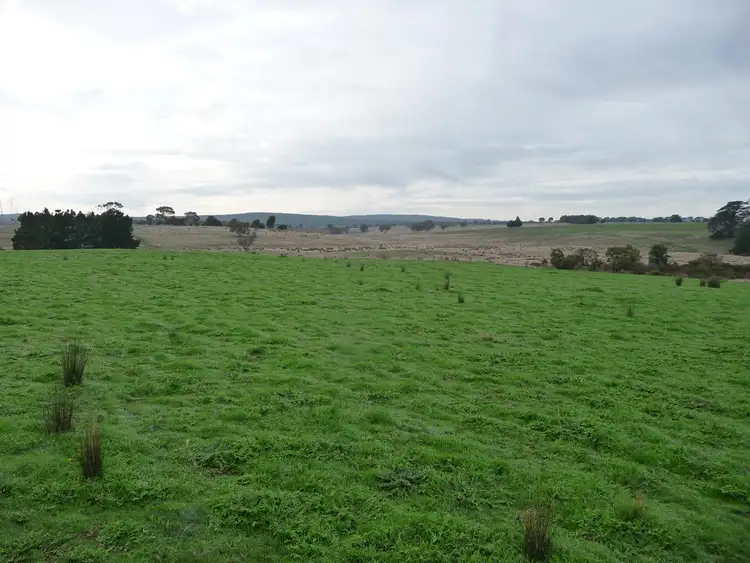 Fourth view of Homely rural property listing, 10 MacPhersons Lane, Cape Clear VIC 3351