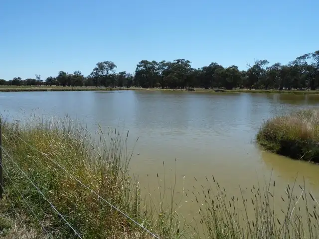 Second view of Homely rural property listing, 1411 Lowrie Road, Bamawm VIC 3561