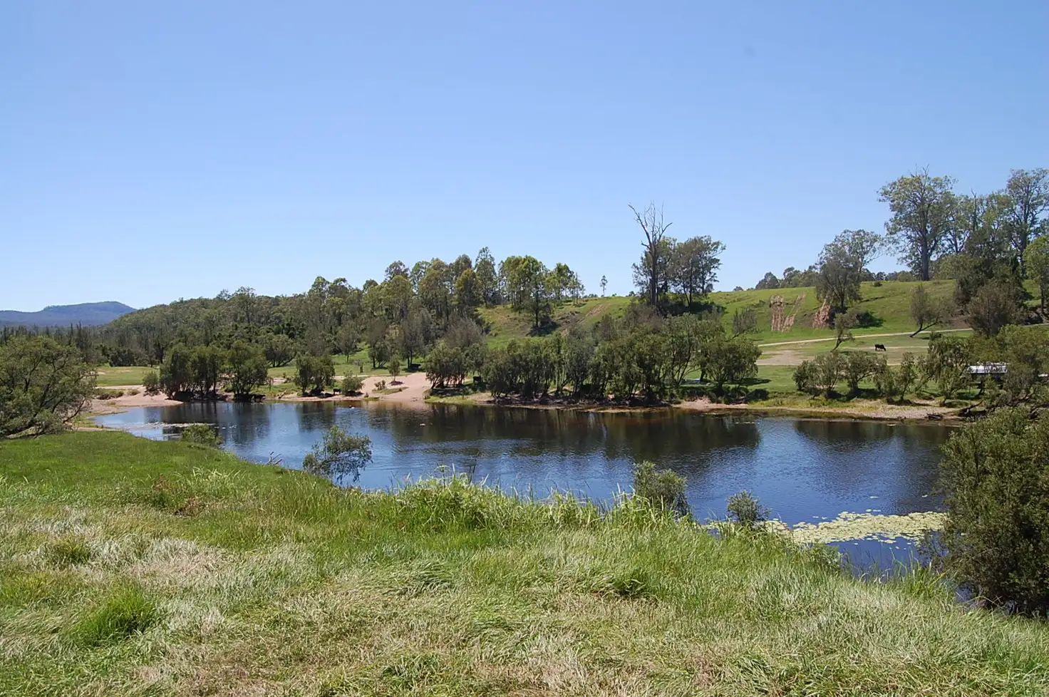 Main view of Homely rural property listing, Lot 10 Plains Station Road, Tabulam NSW 2469