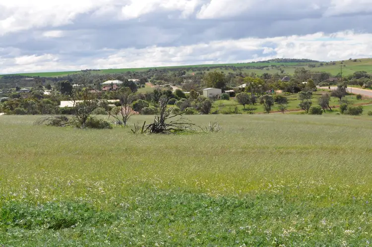 Lot 512 Seventh Avenue, Northampton WA 6535