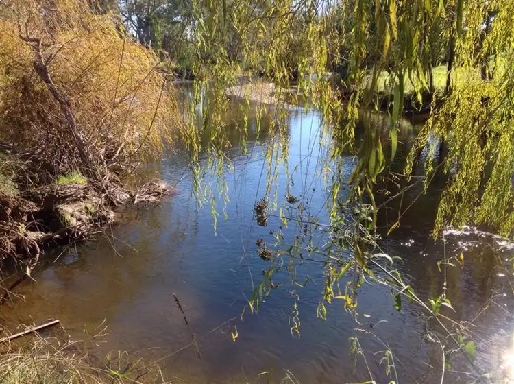 Fourth view of Homely rural property listing, 127 Little River Road, Tumut NSW 2720