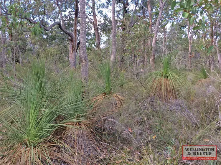 Seventh view of Homely rural property listing, Lot 1 - D93319 Wragg Road, Denmark WA 6333