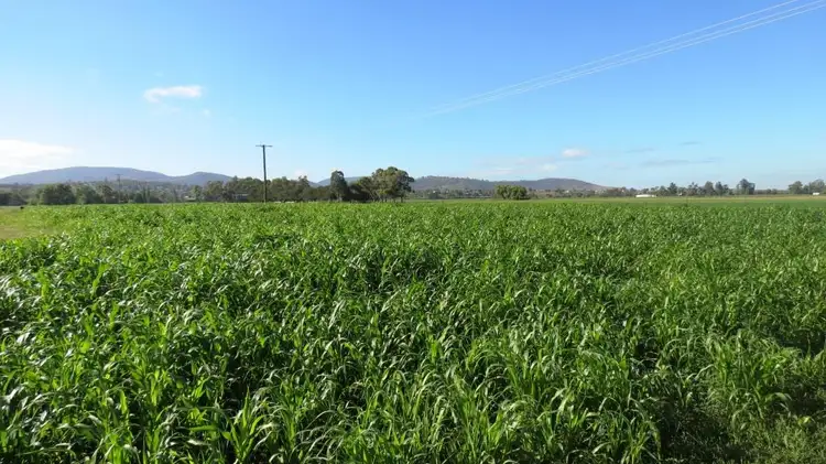 Fifth view of Homely rural property listing, "Roundwood" 62 Blairmore Lane, Aberdeen, Aberdeen NSW 2336