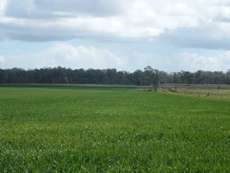 Fifth view of Homely rural property listing, 0 Koraleigh Road, Koraleigh NSW 2735