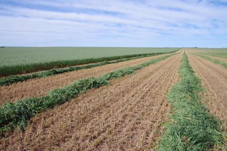 Dalawn Corrigin Narembeen Rd, Corrigin WA 6375