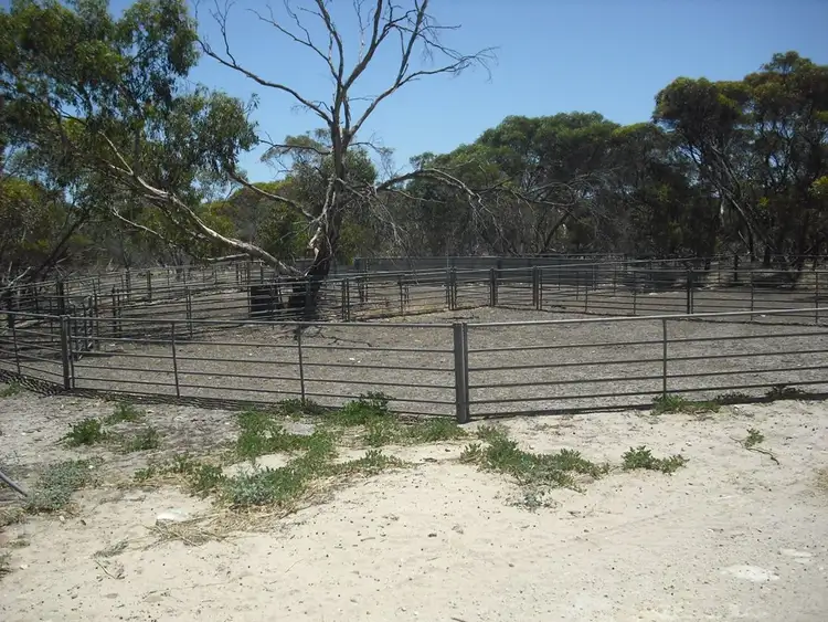 Fourth view of Homely rural property listing, 678 Butler Road, Coonalpyn SA 5265