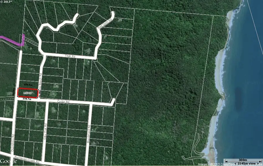 Main view of Homely house listing, 250 White Beech Road COW BAY, Cow Bay QLD 4873